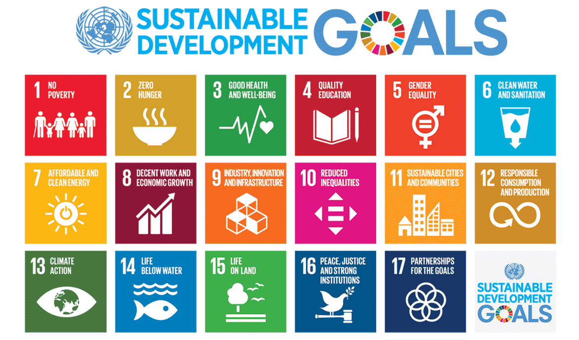 Sustainable Development Goals Poster